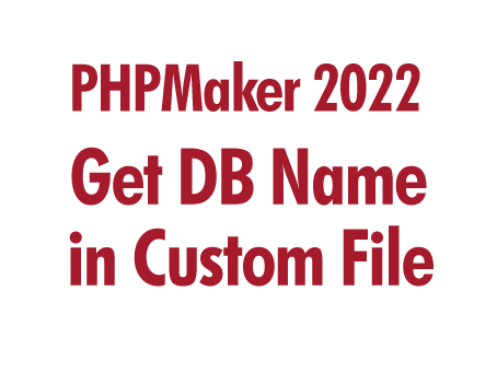 PHPMaker 2022: Get DB Name in Custom File